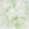 Omenankukkien aikaan / In Apple Blossom Time, 2006, 30 x 30 cm 